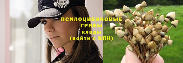 гидропоника Вязники
