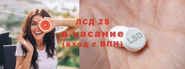 ГАЛЛЮЦИНОГЕННЫЕ ГРИБЫ Вяземский